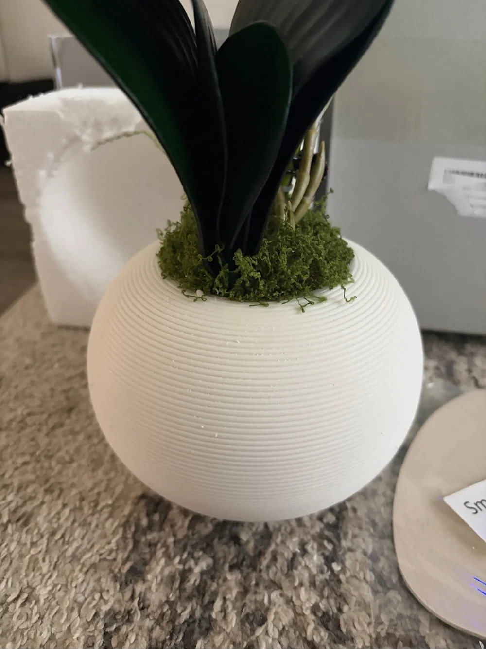 White Orchid Faux Plant in Cream Ceramic Pot